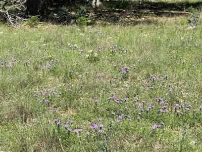 Residential Land For Sale in Fredericksburg, Texas