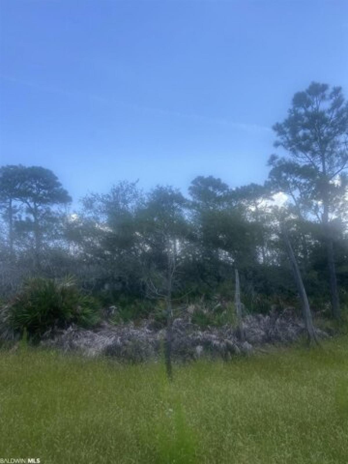 Picture of Residential Land For Sale in Gulf Shores, Alabama, United States