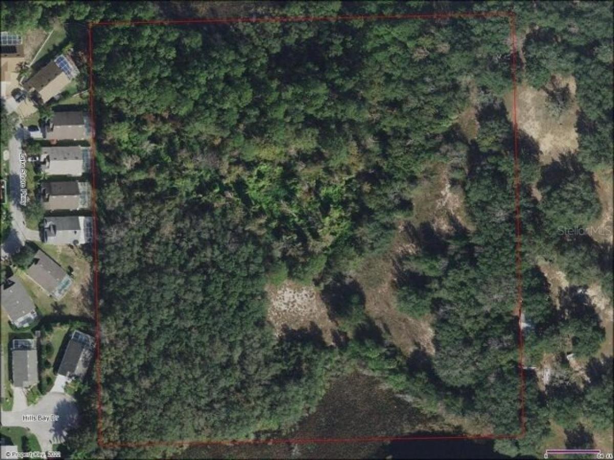 Picture of Residential Land For Sale in Davenport, Florida, United States