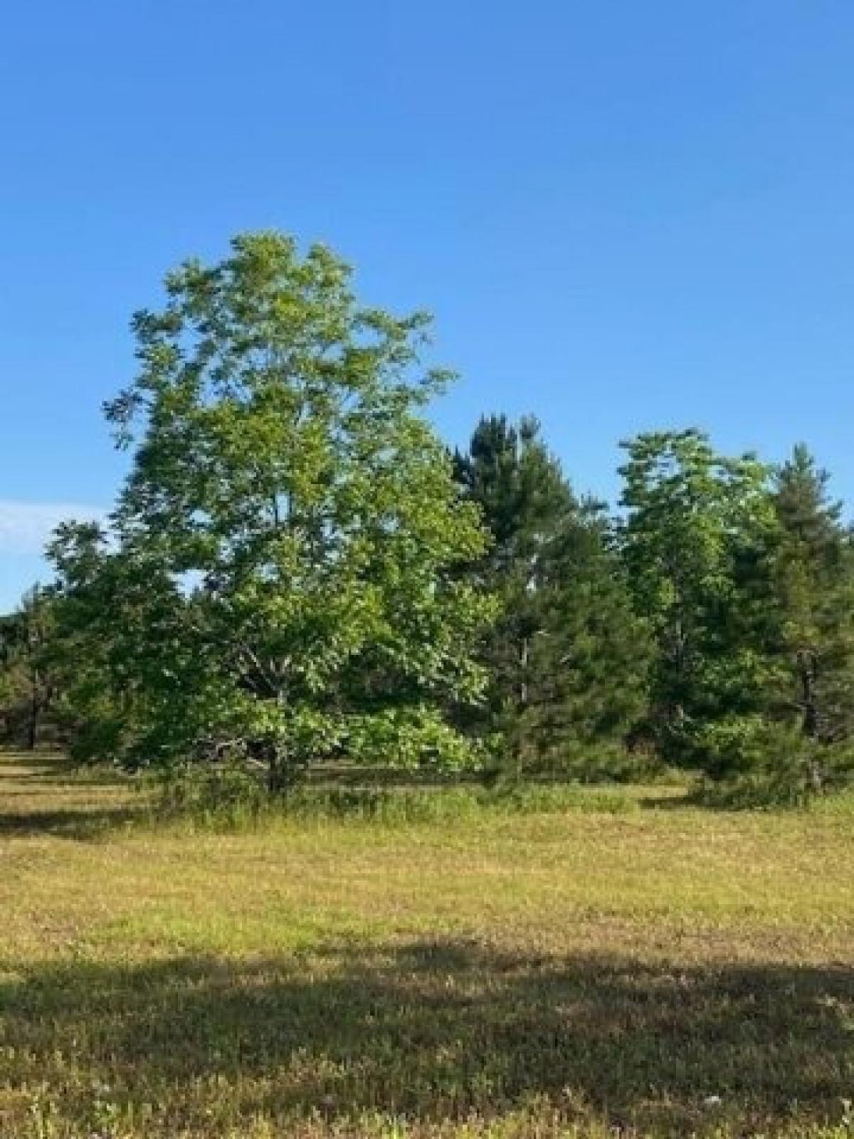 Picture of Residential Land For Sale in Headland, Alabama, United States