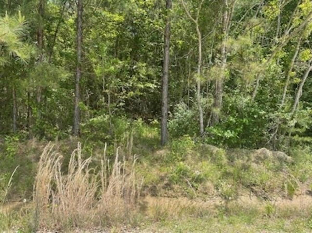 Picture of Residential Land For Sale in Pineville, Louisiana, United States