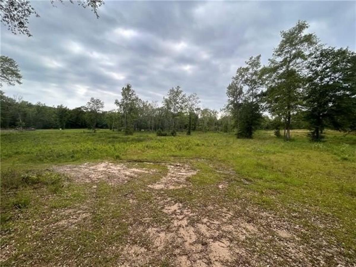 Picture of Residential Land For Sale in Forest Hill, Louisiana, United States