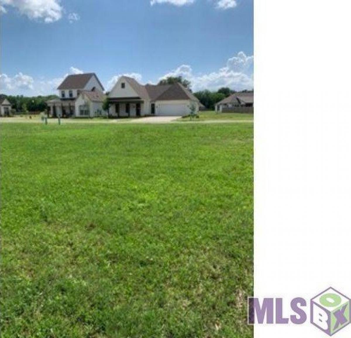 Picture of Residential Land For Sale in Denham Springs, Louisiana, United States