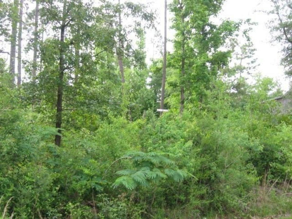 Picture of Residential Land For Sale in Carriere, Mississippi, United States