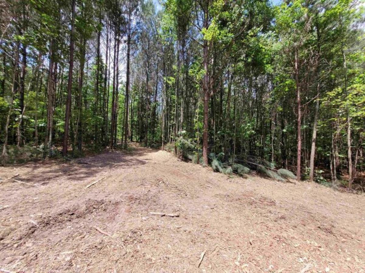 Picture of Residential Land For Sale in Sugar Valley, Georgia, United States