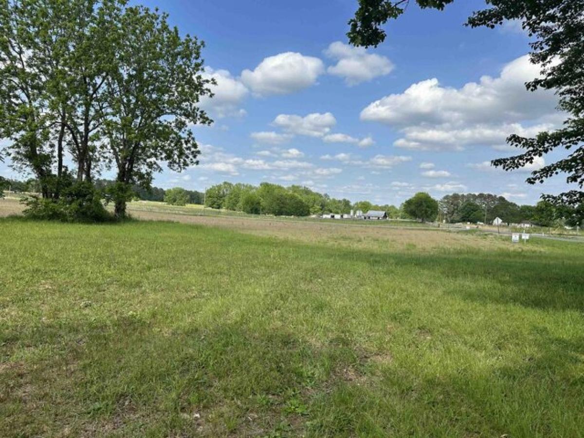 Picture of Residential Land For Sale in Anderson, Alabama, United States