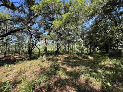 Residential Land For Sale in Lillian, Alabama