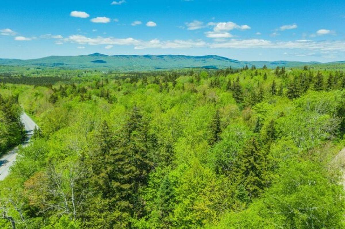 Picture of Residential Land For Sale in Marlboro, Vermont, United States