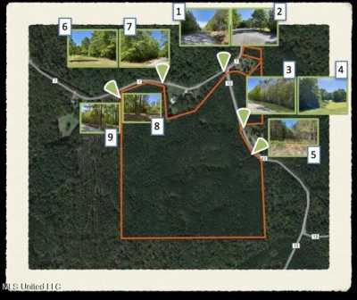 Residential Land For Sale in Myrtle, Mississippi