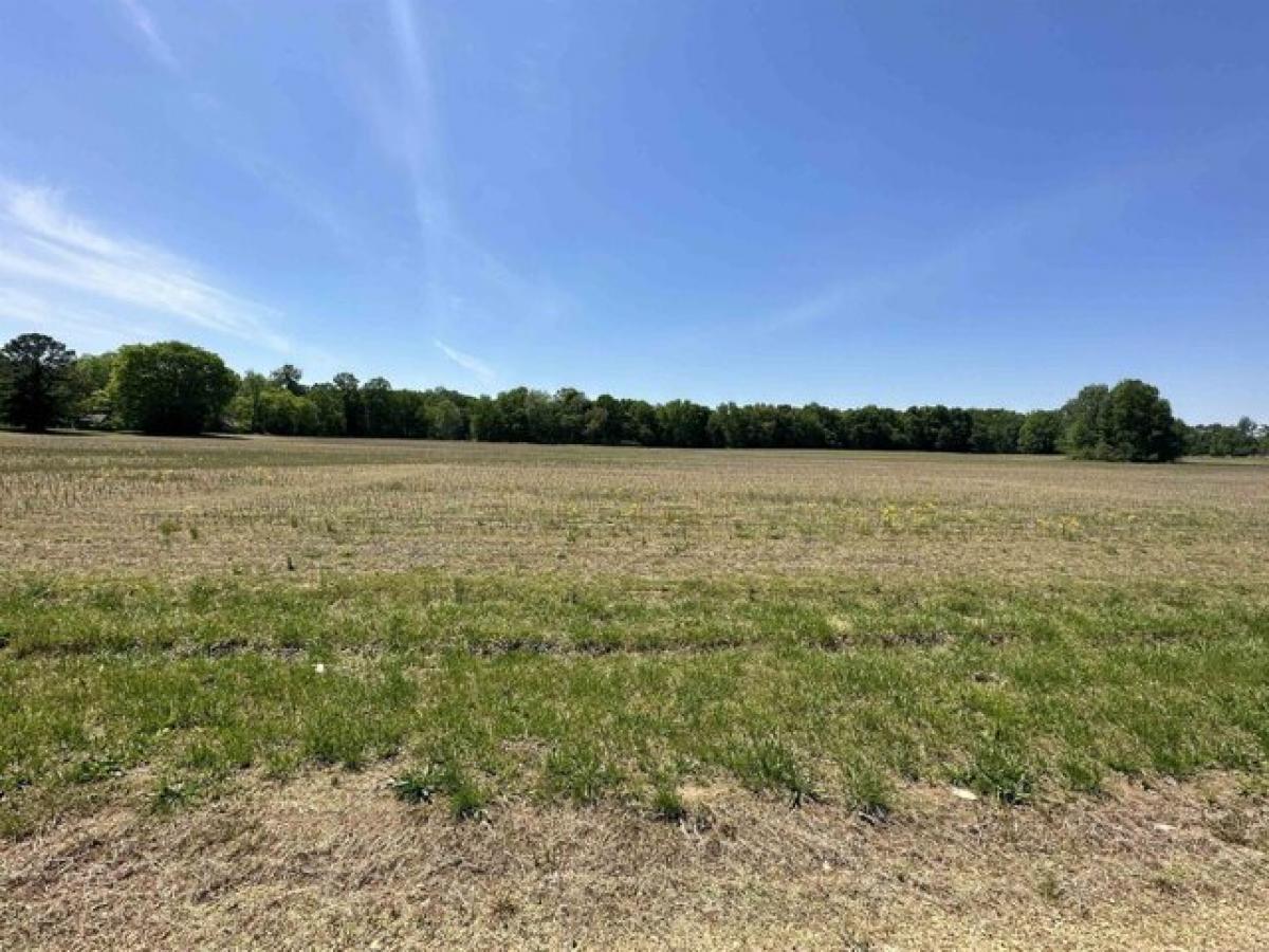 Picture of Residential Land For Sale in Anderson, Alabama, United States