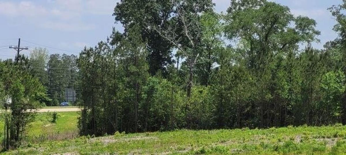 Picture of Residential Land For Sale in Lecompte, Louisiana, United States