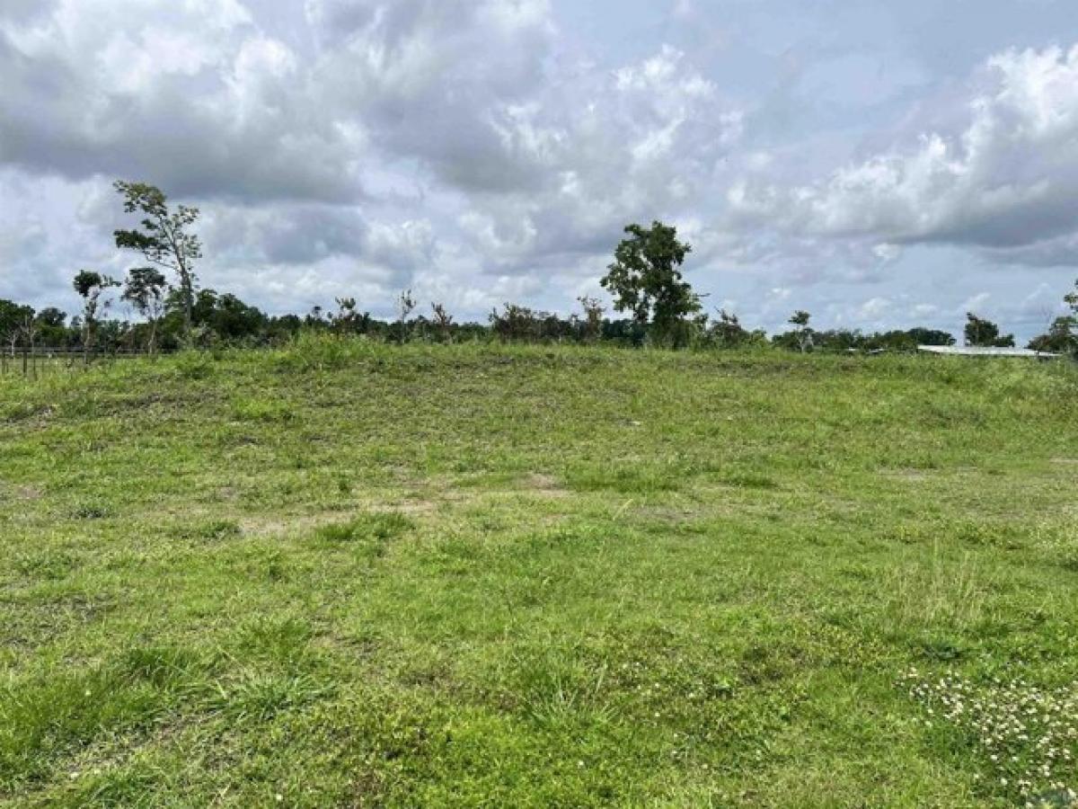 Picture of Residential Land For Sale in Houma, Louisiana, United States