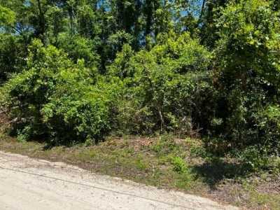 Residential Land For Sale in Crawfordville, Florida