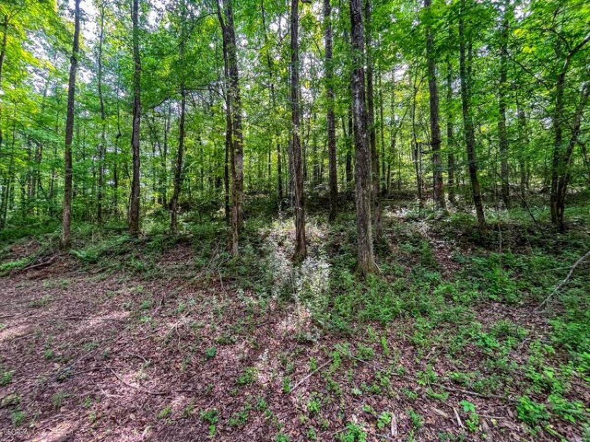 Picture of Residential Land For Sale in Brooks, Georgia, United States