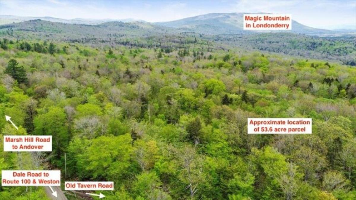 Picture of Residential Land For Sale in Weston, Vermont, United States