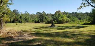 Residential Land For Sale in Deridder, Louisiana