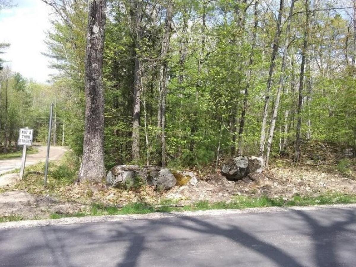 Picture of Residential Land For Sale in Moultonborough, New Hampshire, United States