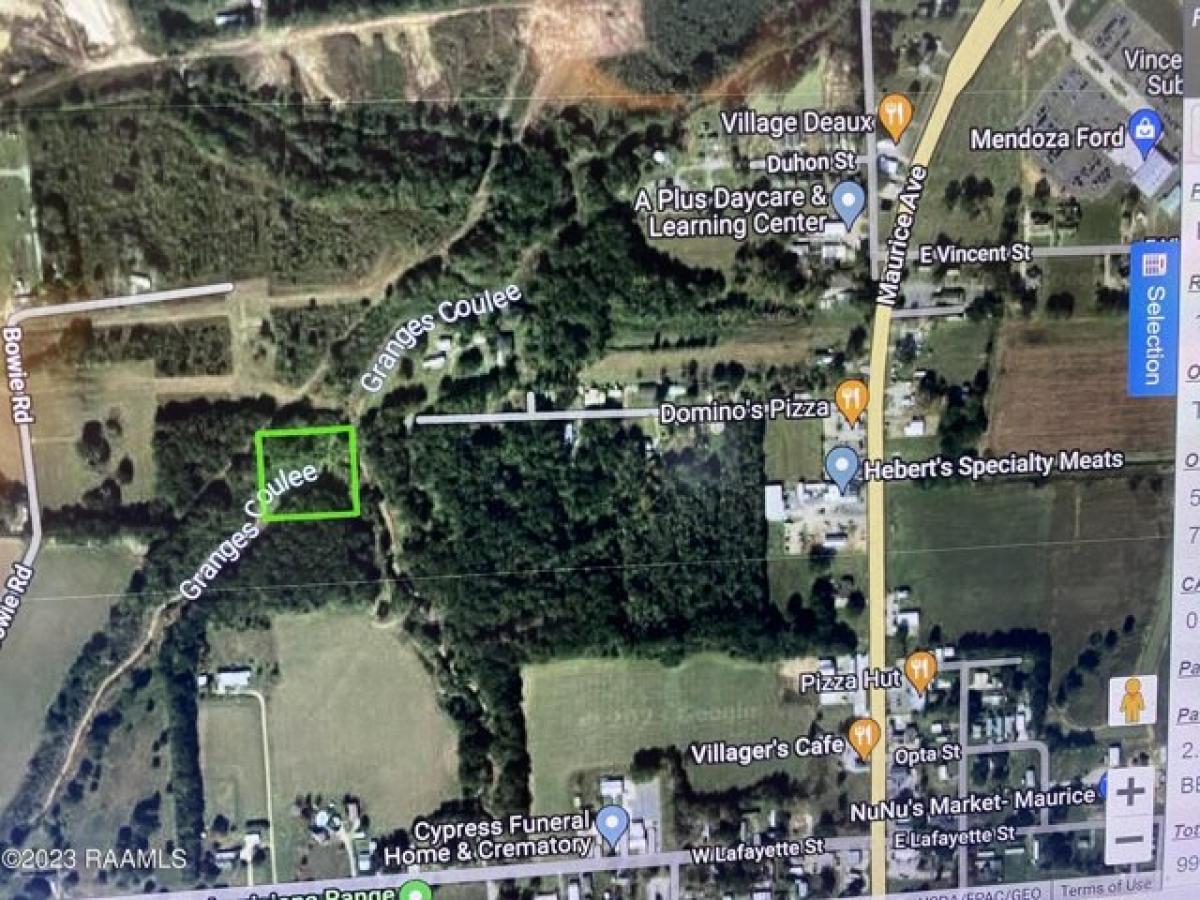 Picture of Residential Land For Sale in Maurice, Louisiana, United States