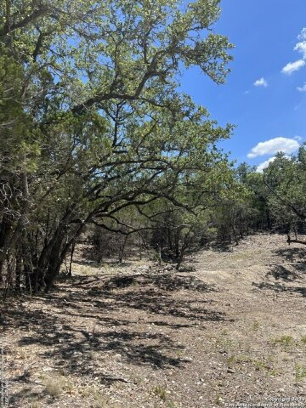 Picture of Residential Land For Sale in Bulverde, Texas, United States