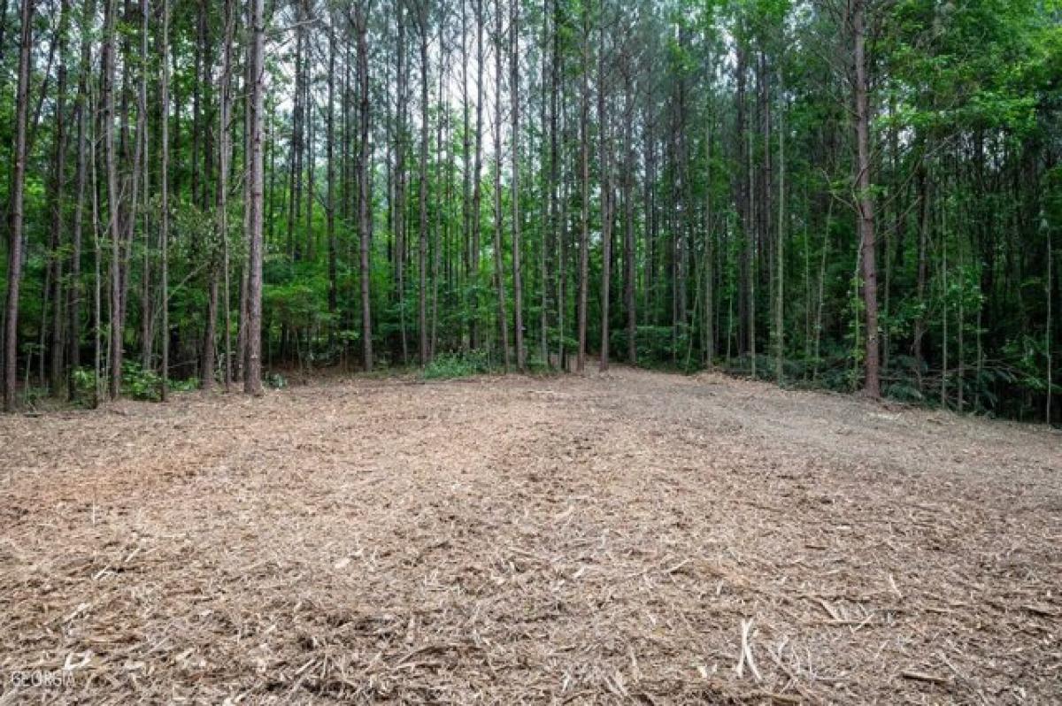 Picture of Residential Land For Sale in Sugar Valley, Georgia, United States