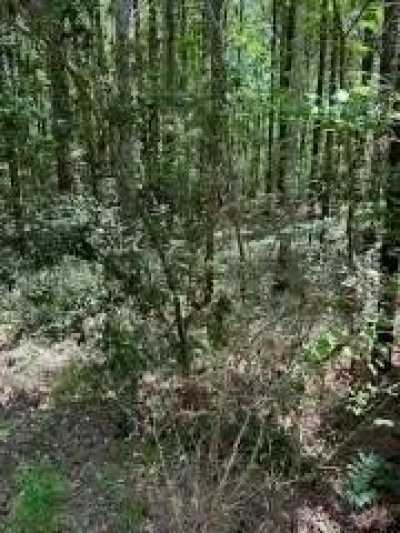 Residential Land For Sale in 