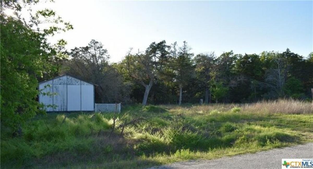 Picture of Residential Land For Sale in Smithville, Texas, United States