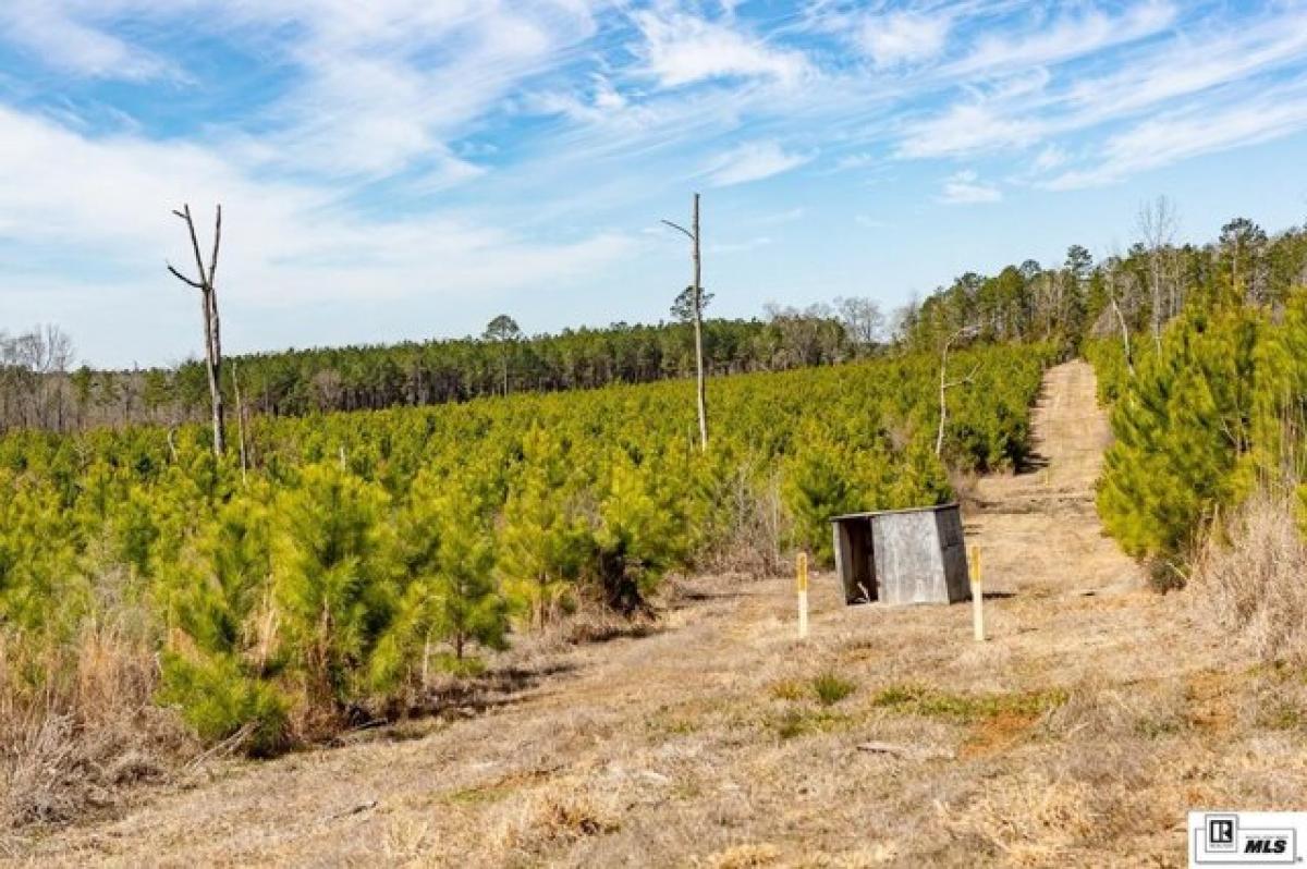 Picture of Residential Land For Sale in Choudrant, Louisiana, United States