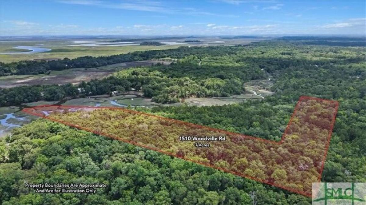 Picture of Residential Land For Sale in Darien, Georgia, United States