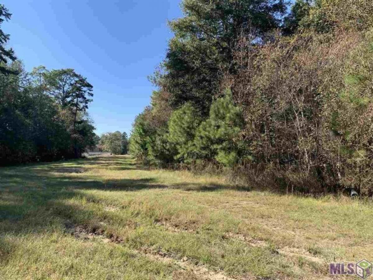 Picture of Residential Land For Sale in Walker, Louisiana, United States