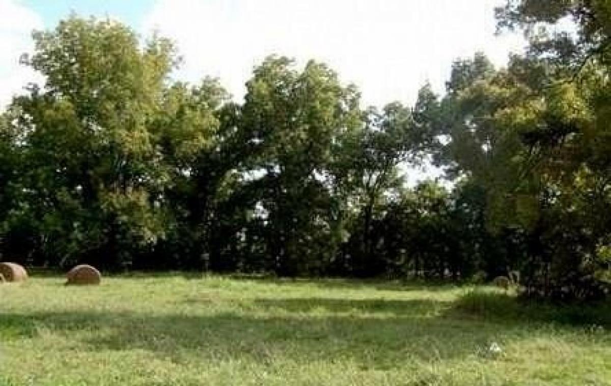 Picture of Residential Land For Sale in Alexandria, Louisiana, United States