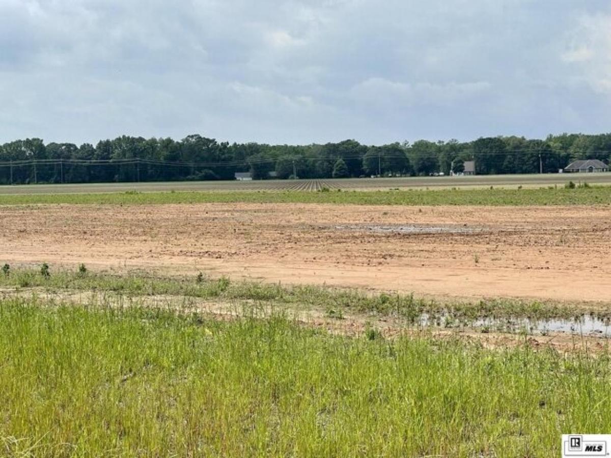 Picture of Residential Land For Sale in Sterlington, Louisiana, United States