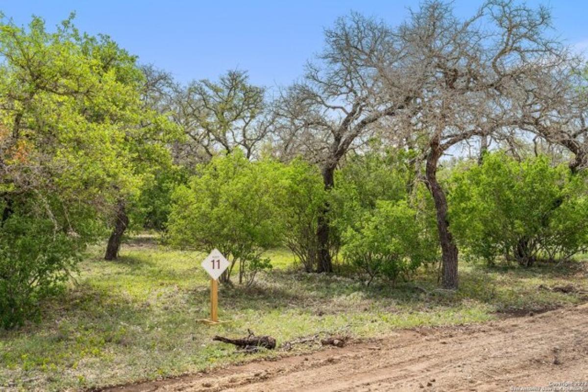 Picture of Residential Land For Sale in Johnson City, Texas, United States