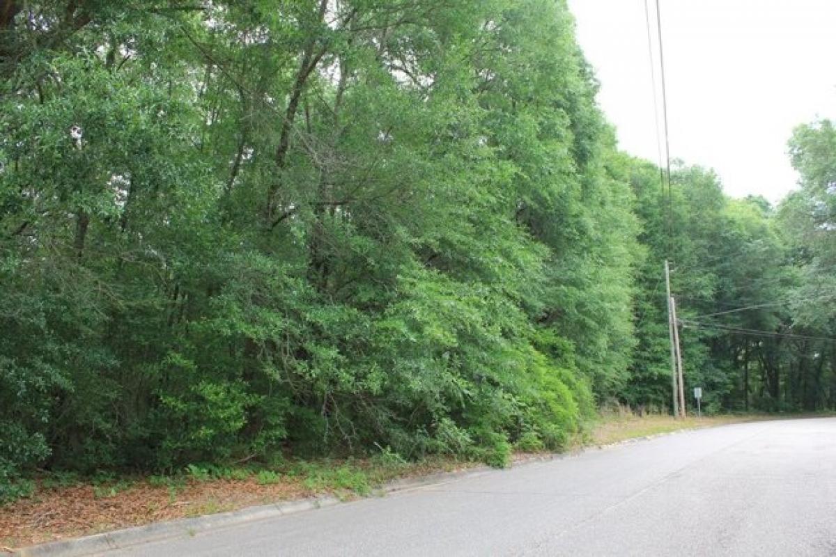 Picture of Residential Land For Sale in Enterprise, Alabama, United States