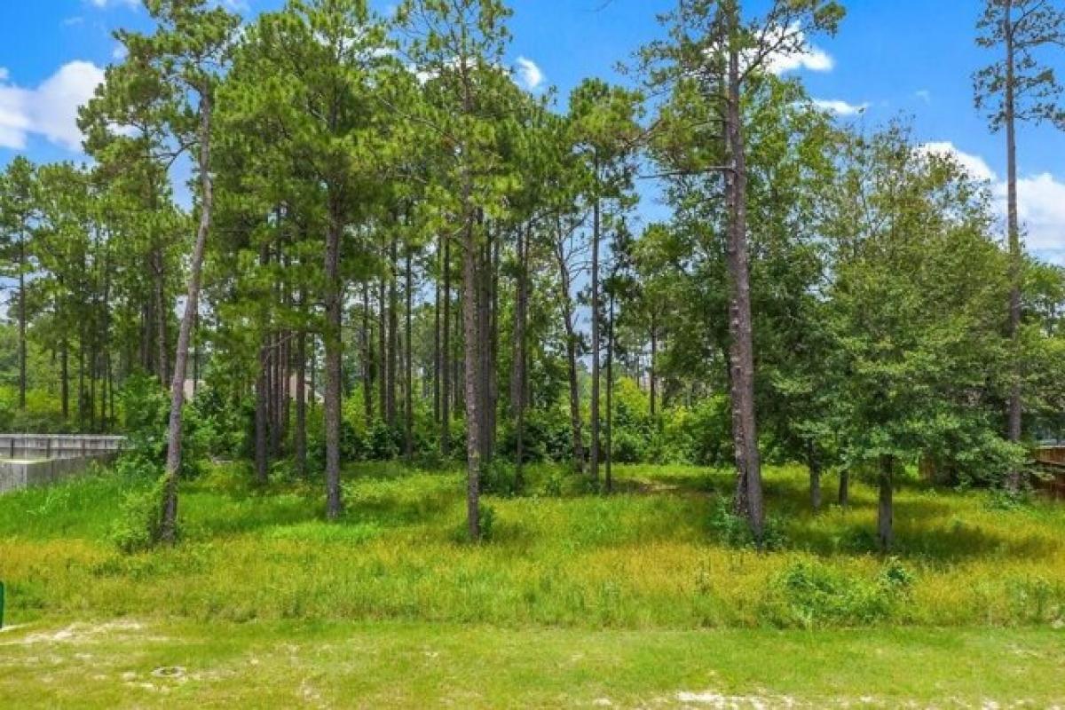 Picture of Residential Land For Sale in Westlake, Louisiana, United States