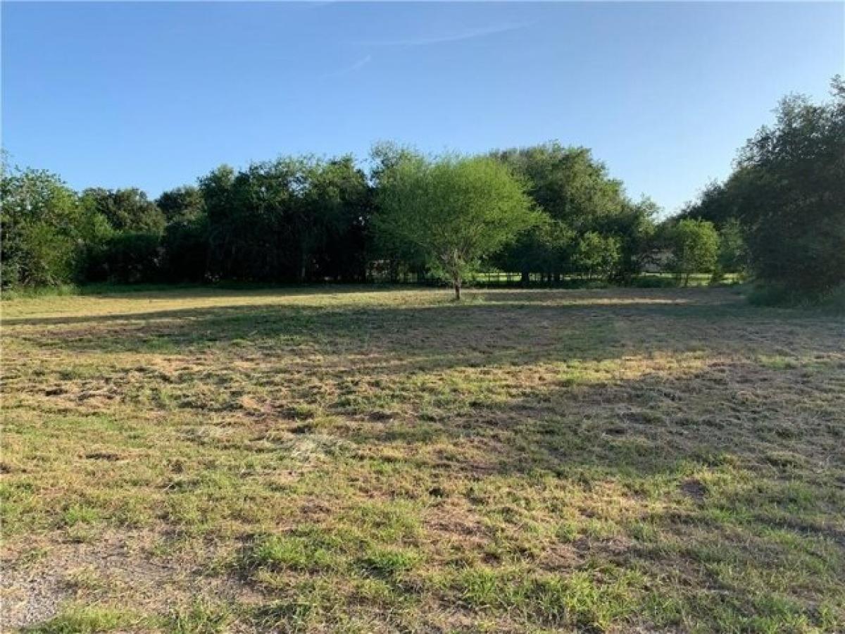 Picture of Residential Land For Sale in Beeville, Texas, United States