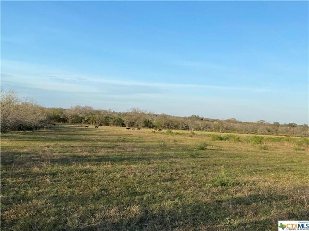 Picture of Residential Land For Sale in Seguin, Texas, United States