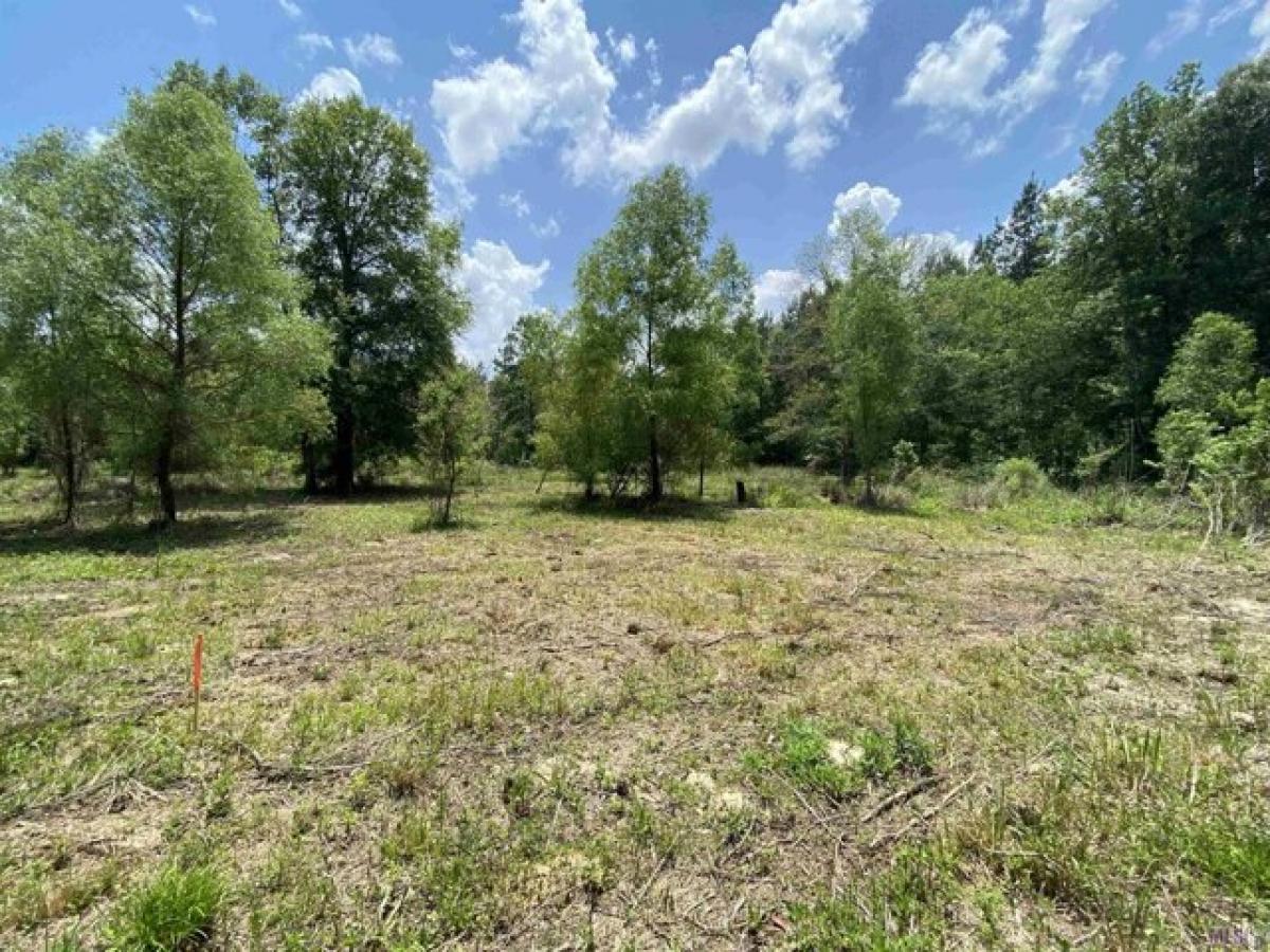 Picture of Residential Land For Sale in Walker, Louisiana, United States