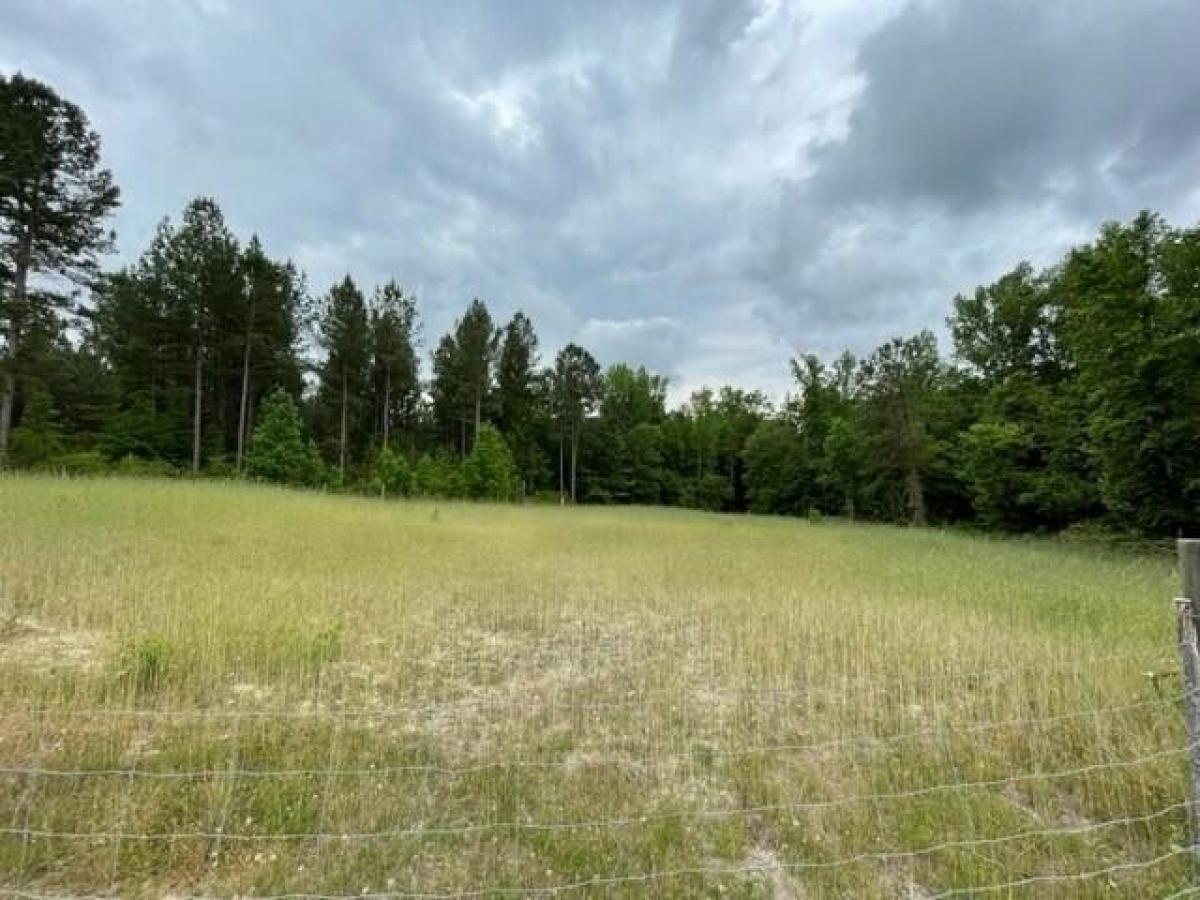 Picture of Residential Land For Sale in Mitchell, Georgia, United States