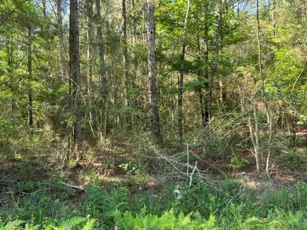 Picture of Residential Land For Sale in Covington, Louisiana, United States