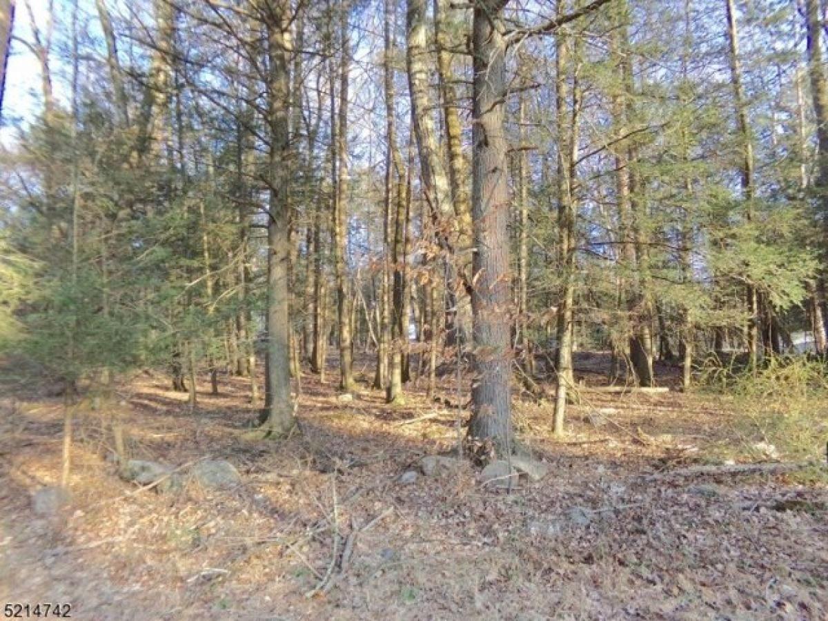 Picture of Residential Land For Sale in Montague, New Jersey, United States