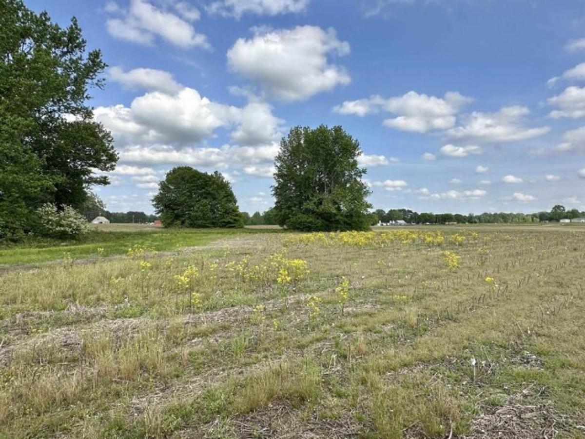 Picture of Residential Land For Sale in Anderson, Alabama, United States