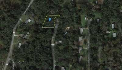 Residential Land For Sale in Lake Panasoffkee, Florida