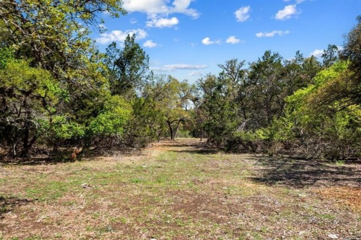 Picture of Residential Land For Sale in Austin, Texas, United States