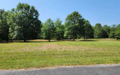 Residential Land For Sale in 