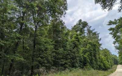 Residential Land For Sale in Live Oak, Florida