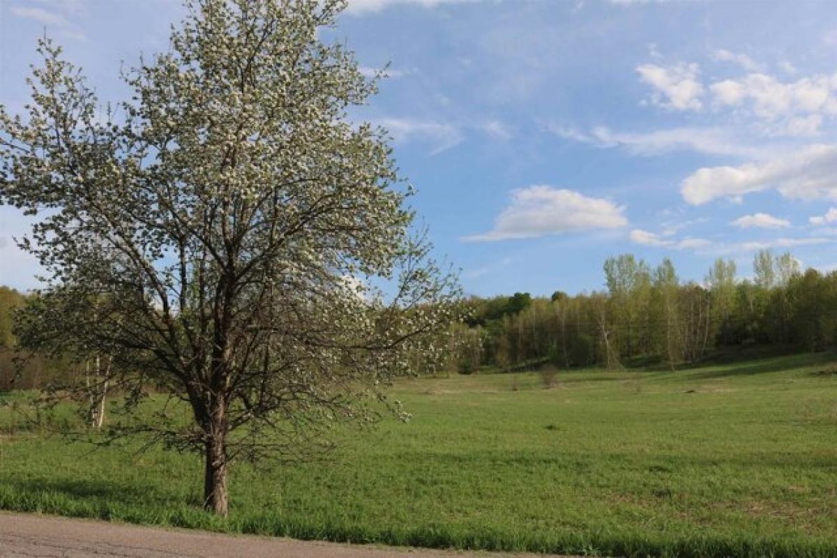 Picture of Residential Land For Sale in Fairfax, Vermont, United States