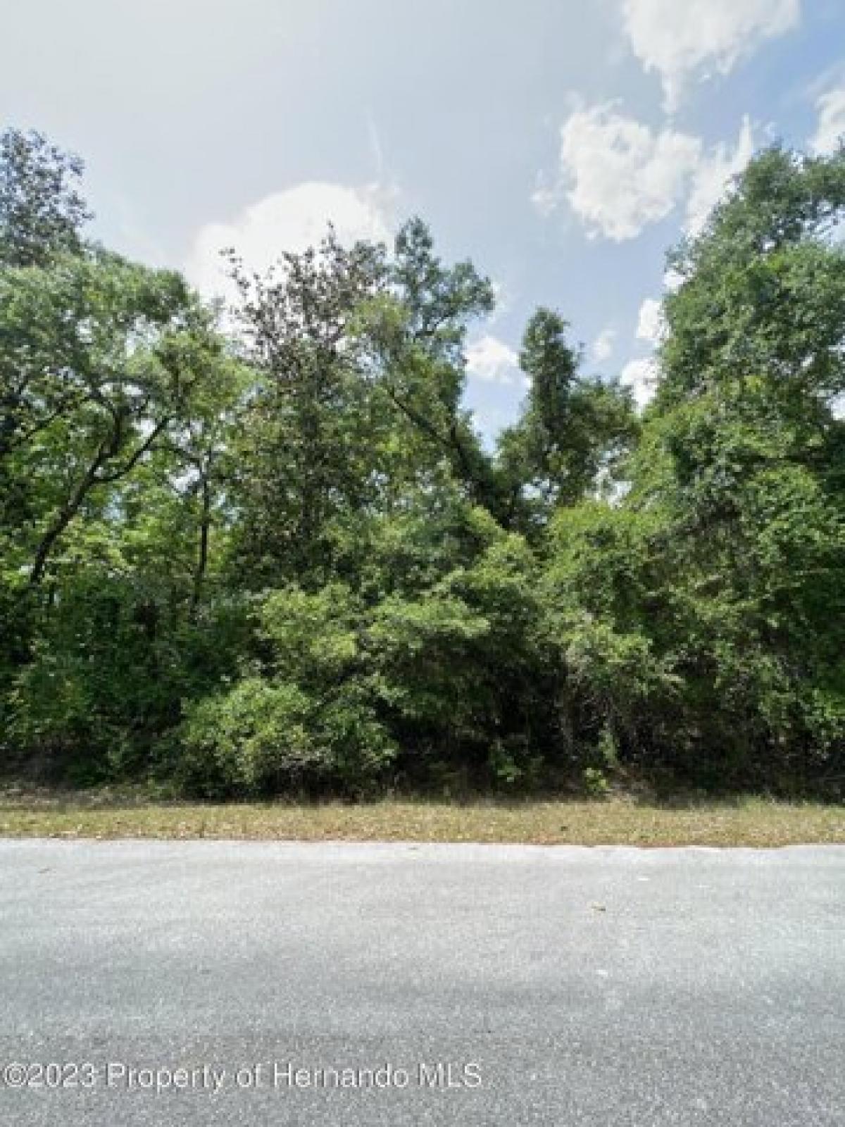 Picture of Residential Land For Sale in Chiefland, Florida, United States