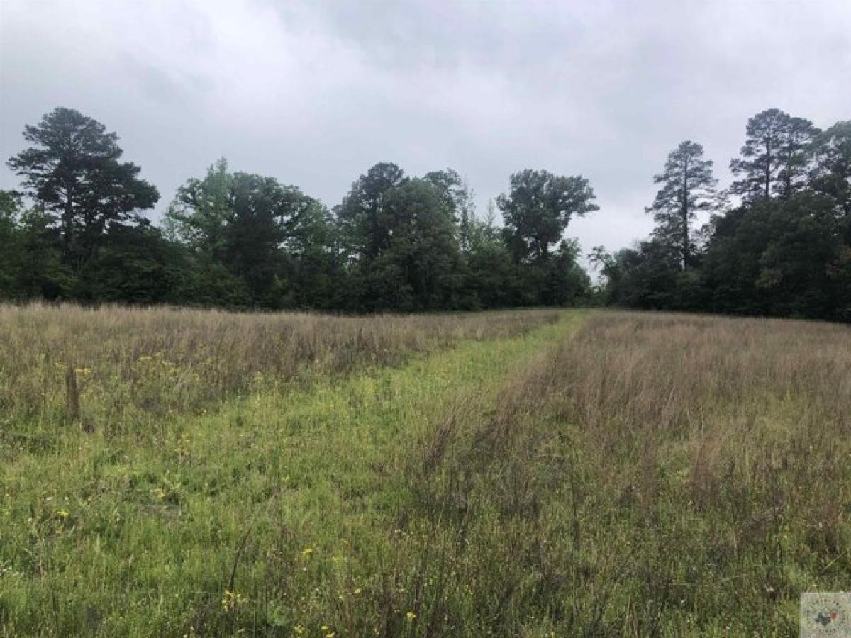 Picture of Residential Land For Sale in Atlanta, Texas, United States