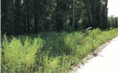 Residential Land For Sale in Branford, Florida