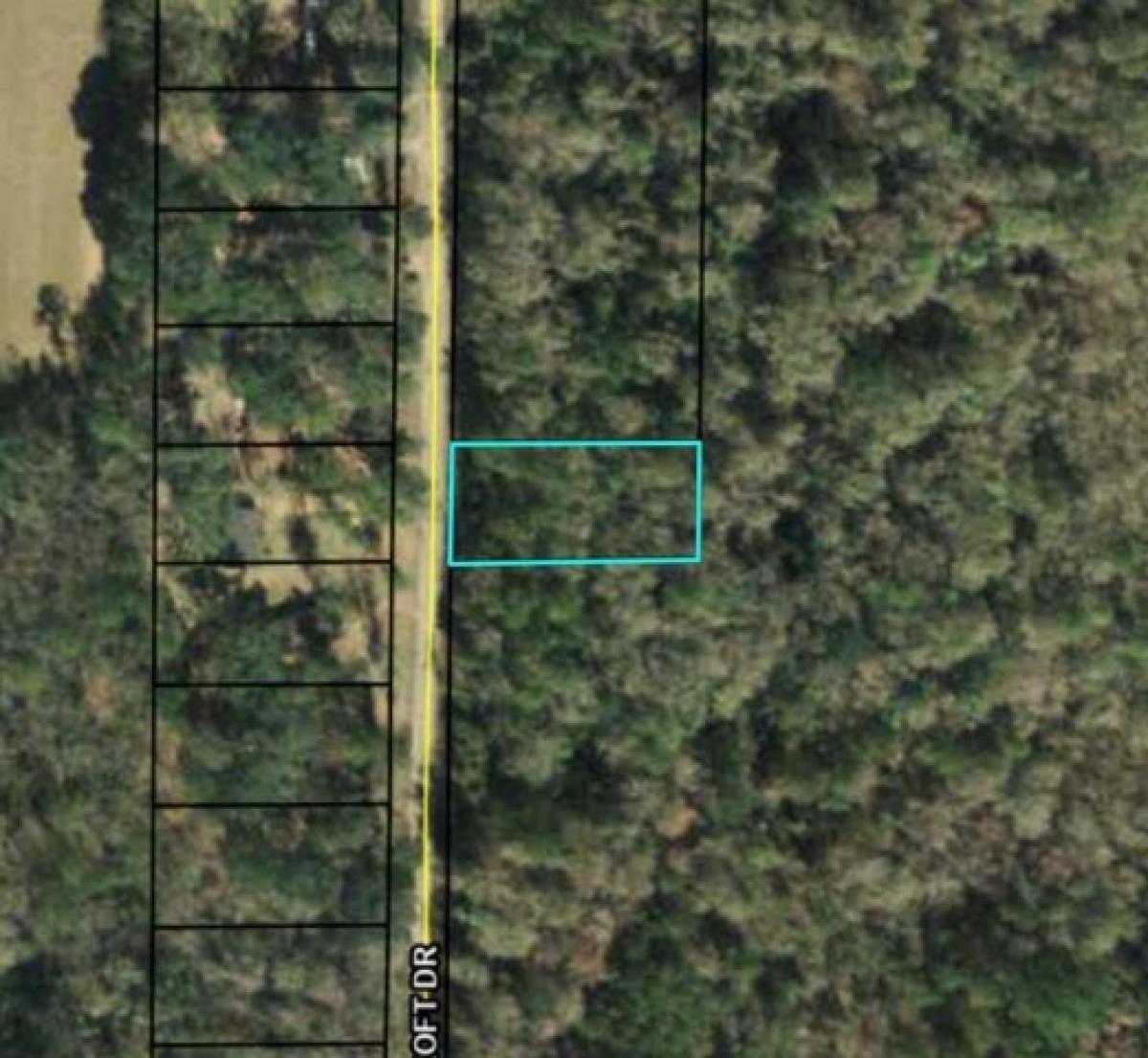 Picture of Residential Land For Sale in Thomasville, Georgia, United States